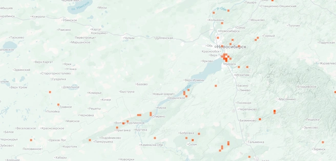 Искать белый гриб лучше в борах | Источник: inaturalist.org