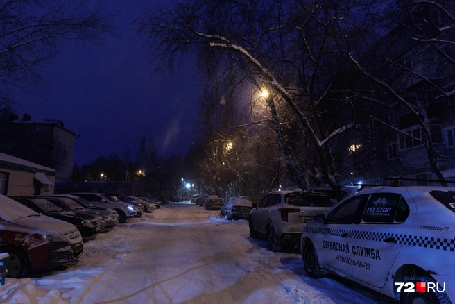 Источник: Ирина Шарова / 72.RU