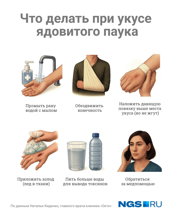 Сохраните себе эту полезную картинку | Источник: Юрий Орлов / Городские порталы