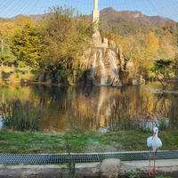 Аватарка Vendetta