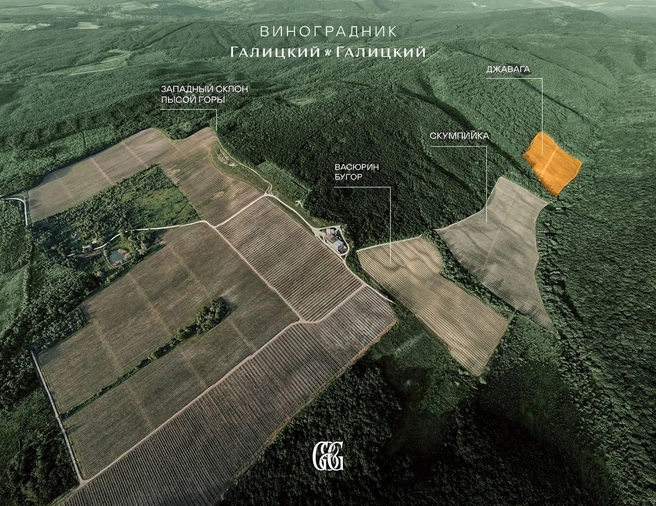 Названия холмов также отражены в винной продукции  | Источник: galitskiy_galitskiy / T.me