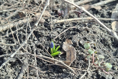 В Воронежской области ожидается потепление до +15
