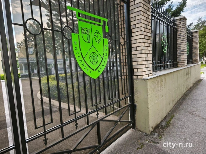 Здание школы видно только сквозь небольшие щели | Источник: www.city-n.ru