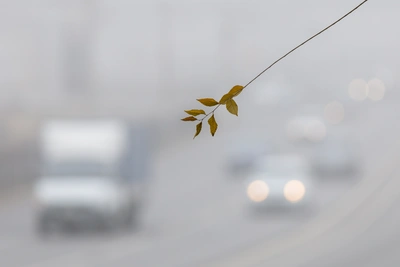 Волгоградская ГИБДД предупреждает о тумане на трассах