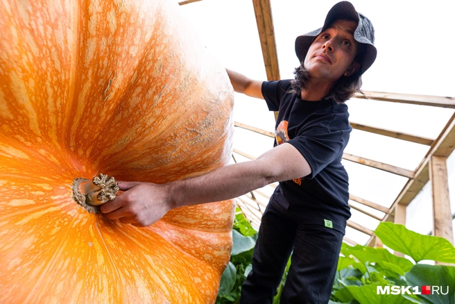 Источник: Артем Устюжанин / MSK1.RU