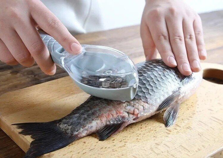 Чистка для чешуи рыбы