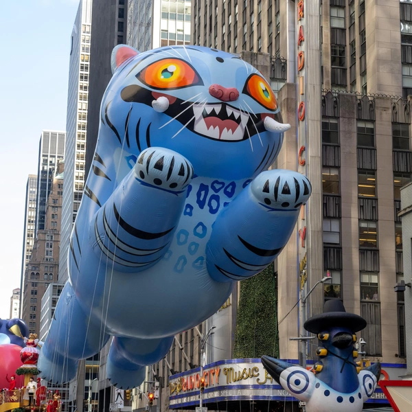 Источник: Ron Adar / SOPA Images via Legion Media