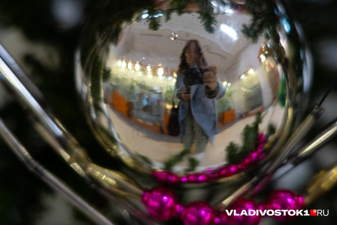 Источник: Елена Буйвол / VLADIVOSTOK1.RU