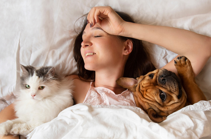 Это опасно: 5 причин, почему ни в коем случае не стоит брать с собой в постель кошку и собаку