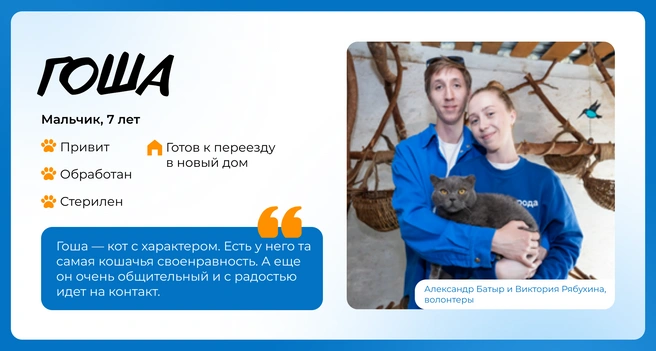Источник: Василиса Молахова, Евгений Шаров