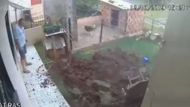 Видео, в котором мужчина бросил спичку в заполненную бензином нору суслика, стало вирусным