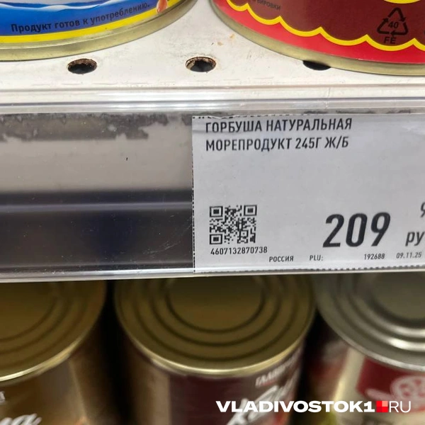 Источник: Елена Буйвол / VLADIVOSTOK1.RU