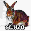 userpic__Yano4ka (или просто Яна)
