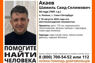 В Репино ищут пропавшего адвоката