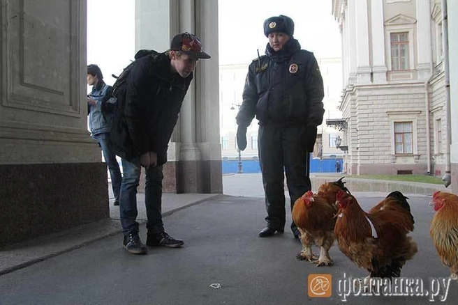 Источник: Илья Трусов