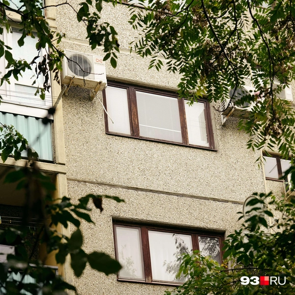 Источник: Дарья Паращенко / 93.RU