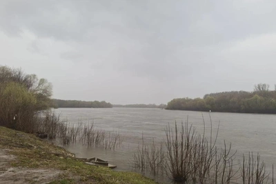 Обстановка с паводком в Рязанской области на 29 апреля