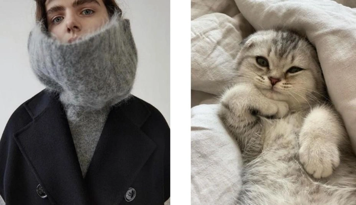 Как ухаживать за кашемировыми свитерами, чтобы они дольше служили | parents.ru