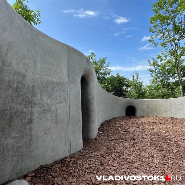 Источник: Елена Буйвол / VLADIVOSTOK1.RU