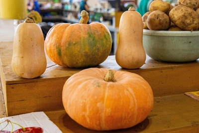 Altai chef shares pumpkin soup recipe