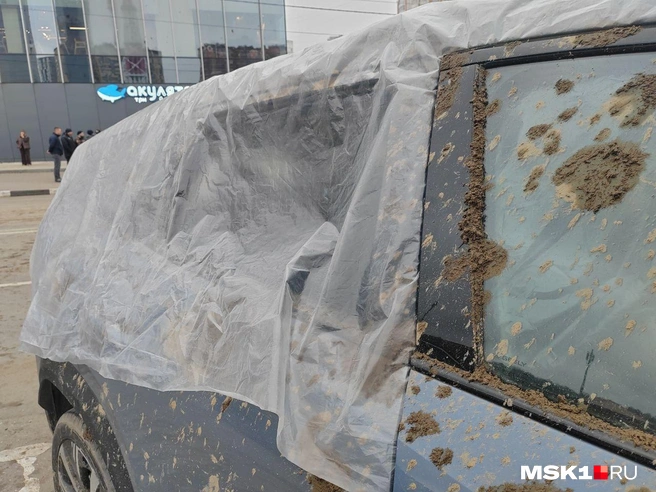 Источник: Михаил Мечев / MSK1.RU