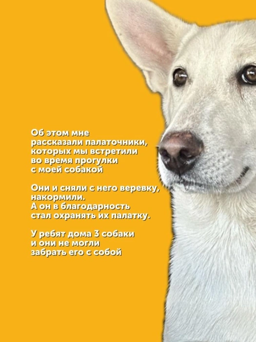 Источник: @natalis.sem / instagram.com (экстремистская организация, деятельность запрещена на территории РФ)