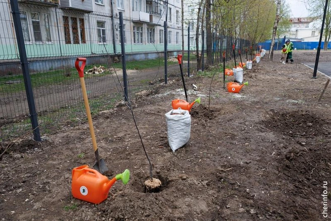 Источник: st.cherinfo.ru