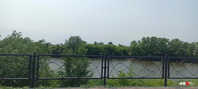 Плотина помогла значительно поднять уровень воды в Тоболе | Источник: Анна Сарапульцева /45.RU
