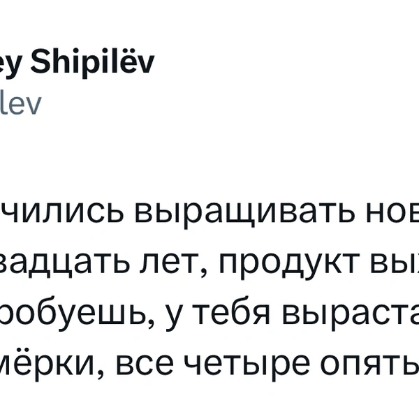 Источник: X (Twitter)