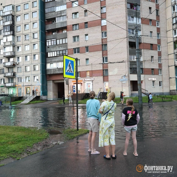 Источник: Сергей Михайличенко / FONTANKA.RU