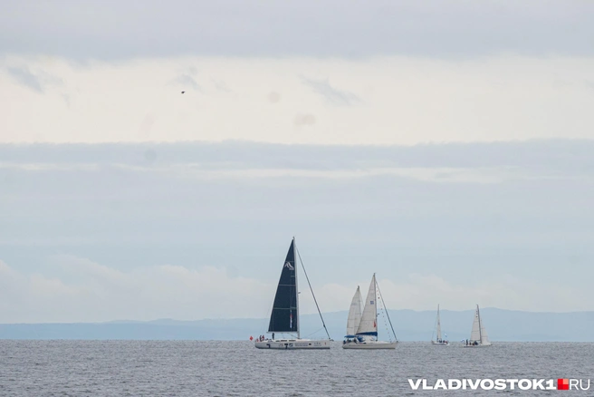 Источник: Елена Буйвол / VLADIVOSTOK1.RU