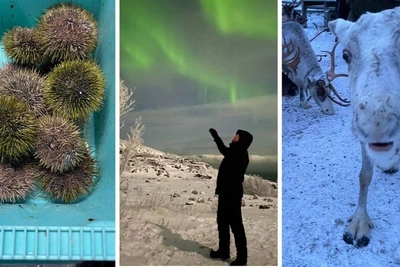 Dream Winter Journey to the Arctic: Cold, Snowy, but Magically Beautiful