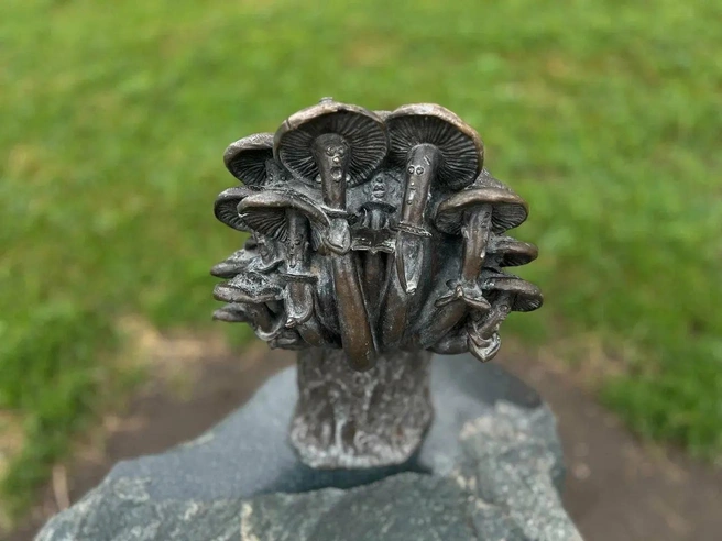 Источник: Виктория Измайлова / Yandex.maps