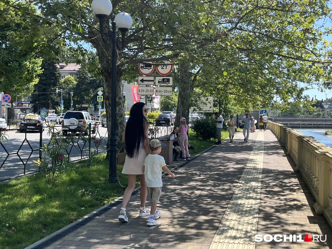 Из-за прохладного июня сезон был короче  | Источник: Анна Грицевич / SOCHI1.RU