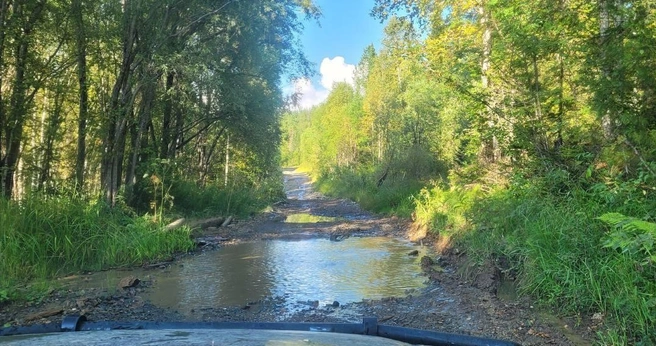 По пути встречались порой неожиданные виды | Источник: Алексей Котельников