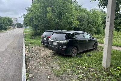 Благовещенцы заплатили почти 2,5 млн рублей за неправильную парковку