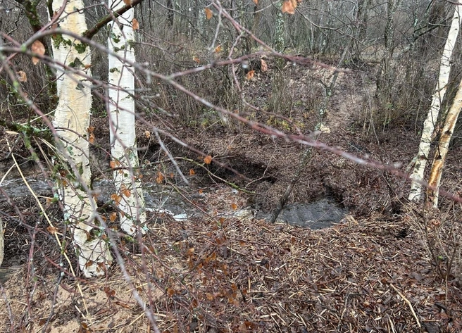 Источник: читатель «Фонтанки»