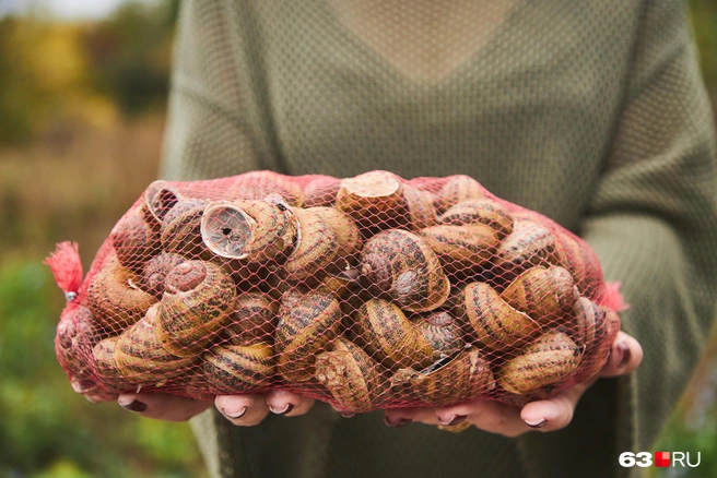 Со стороны может показаться, что всё легко. Но, познакомившись поближе с производством, понимаешь, что в каждую улиточку вложено много-много сил и времени | Источник: Роман Данилкин / 63.RU