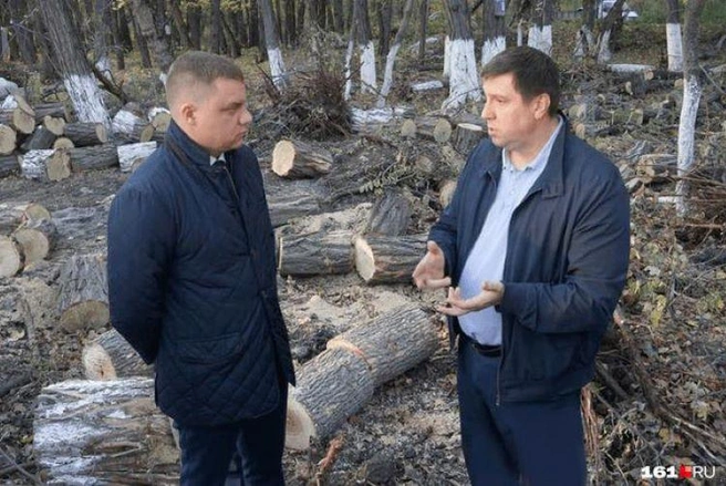 Деревья «под снос» просто не пометили | Источник: Данила Сухоруков