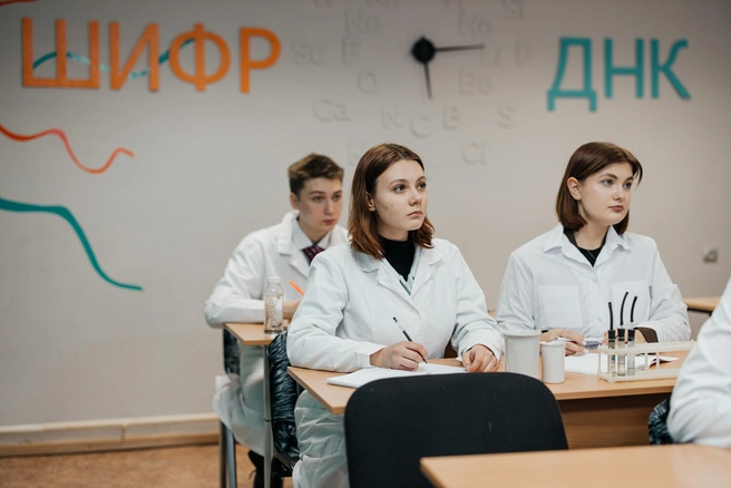 Источник: Ксения Зимина