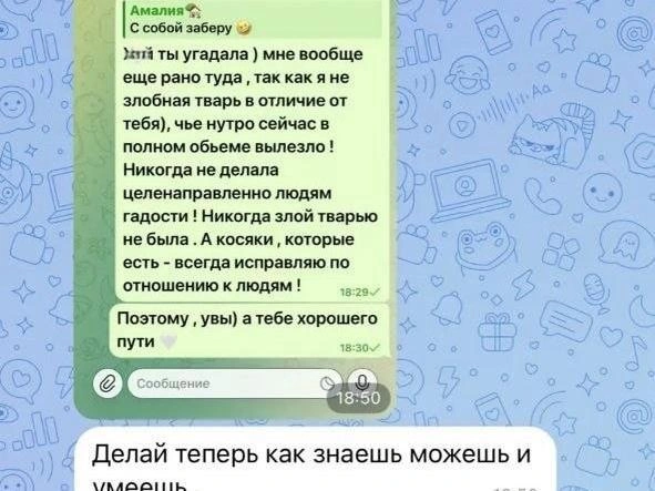 Ответы Оксаны Саркисовой в переписке с Амалией Ерашовой | Источник: Читатель 161.RU