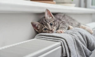 Комфортные условия: эти 4 хитрости помогут сохранить тепло в доме