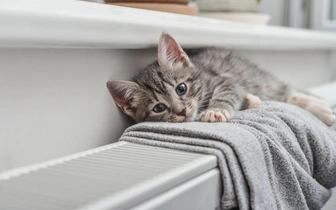 Комфортные условия: эти 4 хитрости помогут сохранить тепло в доме