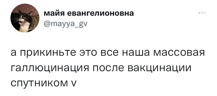 Шутки вторника и музей Егора Летова