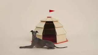 Дизайнерские будки и лежанки на выставке «Архитектура для собак» в Милане