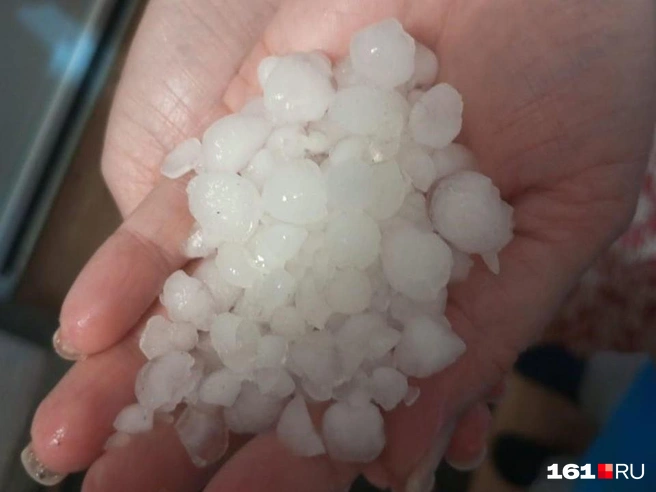 Источник: news161ru / t.me