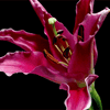 userpic__Eva.trn