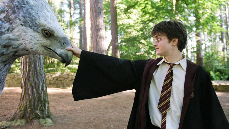 10 цитат из книг про Гарри Поттера, которые поддержат вас безо всякого волшебства