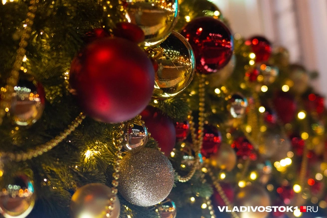 Источник: Елена Буйвол / VLADIVOSTOK1.RU