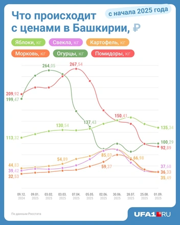 Источник: Юрий Скулыбердин / Городские медиа